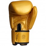 Перчатки боксерские Fairtex (BGV-19 gold)